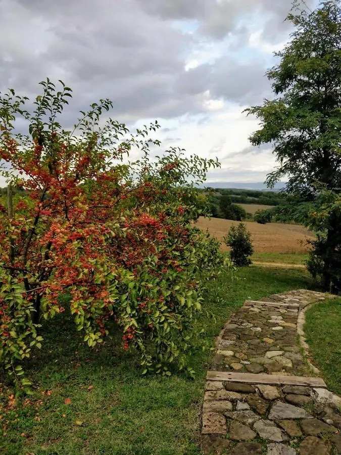 La Casa Di Arianna Bed & Breakfast Casole d'Elsa
